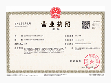 武漢中盛起元科技發(fā)展有限公司