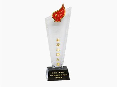 武漢中盛起元科技發(fā)展有限公司